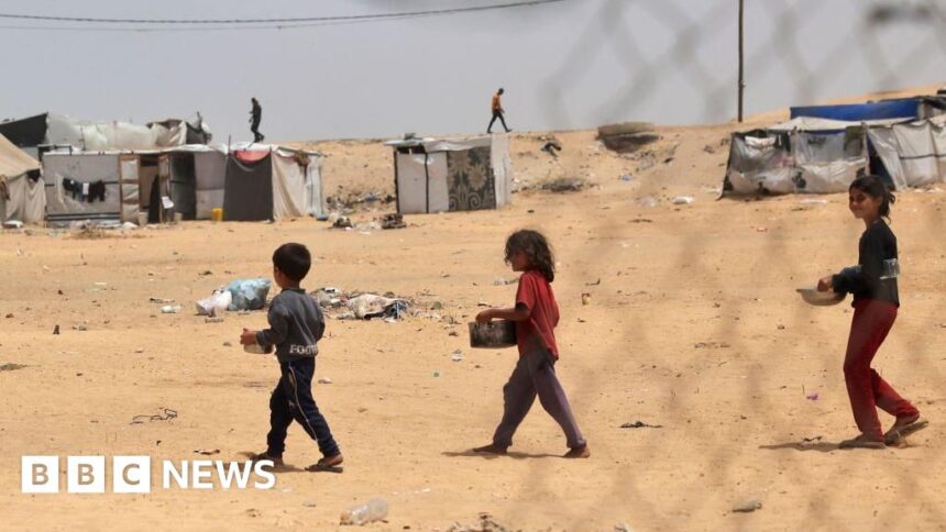 UN halts Rafah food distribution due to shortages and hostilities