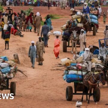 UN expert warns of genocide in Darfur city of El Fasher