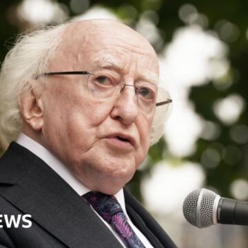 Do not ask victims to move on – Irish president