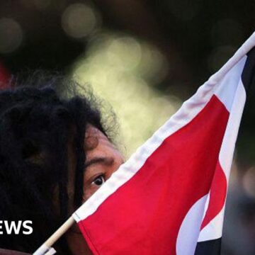 Thousands rally in support of Māori rights