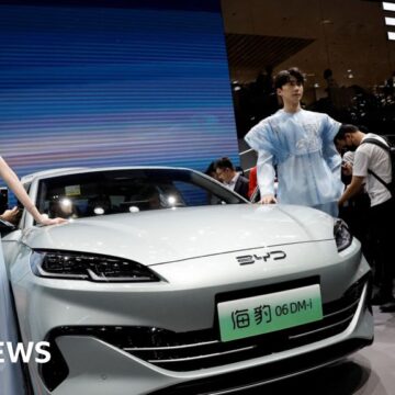 Tesla China rival BYD sees profits and sales fall