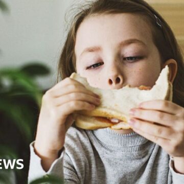 Scientists work to make healthier white bread