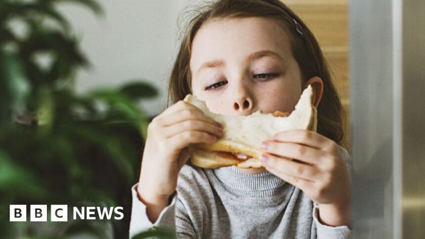 Scientists work to make healthier white bread