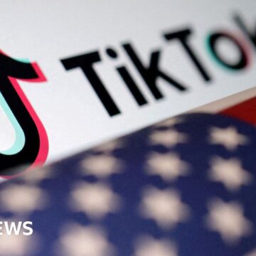 TikTok vows to fight 'unconstitutional' US ban