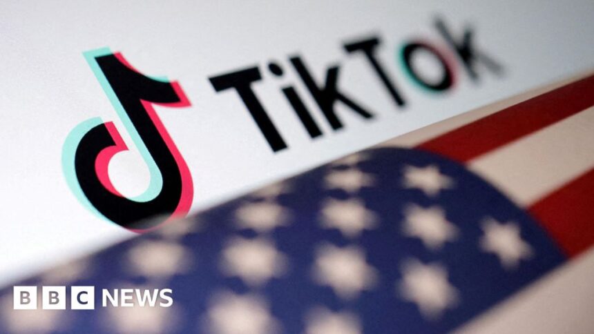 TikTok vows to fight 'unconstitutional' US ban