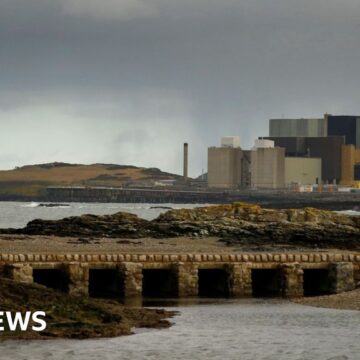 Wylfa chosen for new nuclear power station