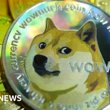 Shiba inu dog was meme and face of Dogecoin