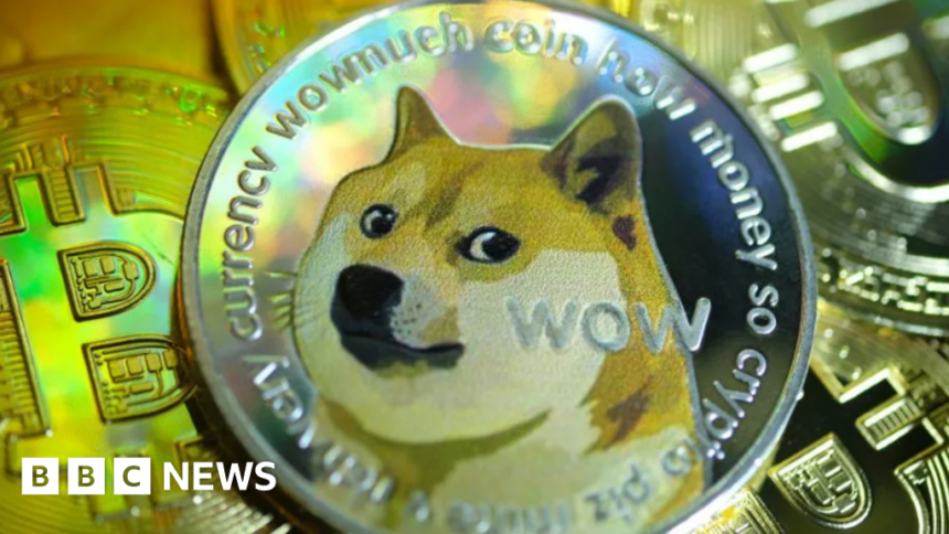 Shiba inu dog was meme and face of Dogecoin