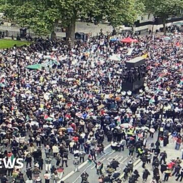 Police officers injured and 40 arrests at protest in Westminster