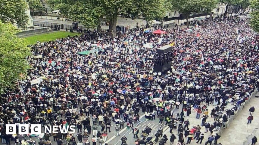 Police officers injured and 40 arrests at protest in Westminster