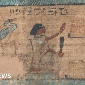 Museum spotlights ancient Egypt beyond the mummies