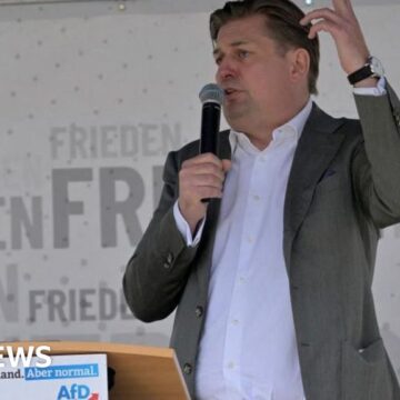 German far right in disarray after AfD Nazi remark