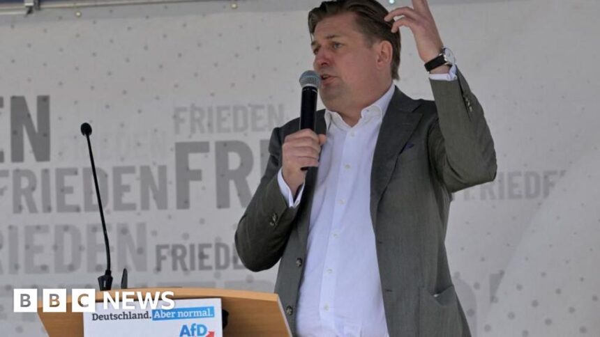 German far right in disarray after AfD Nazi remark