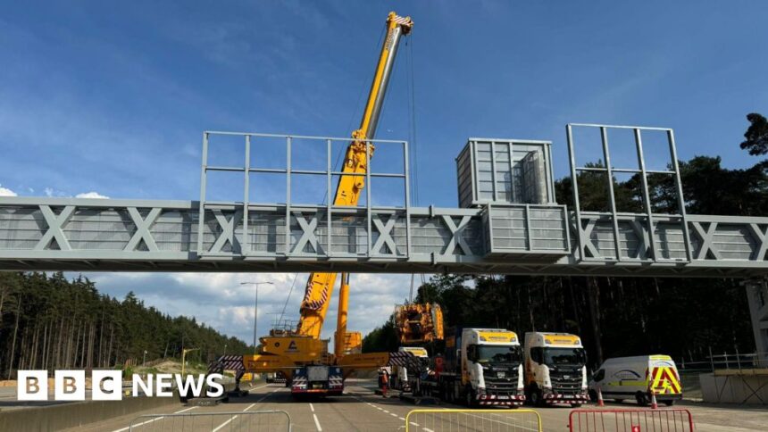 M25 to reopen as planned, says highways agency