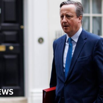 New EU border IT system risks long delays – Cameron