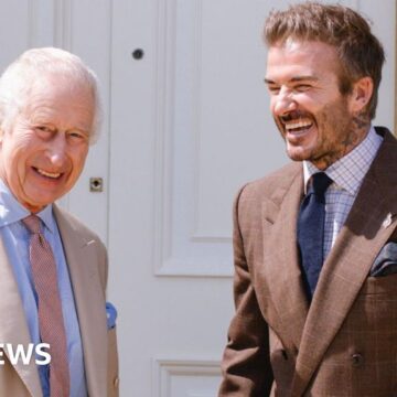 David Beckham swaps beekeeping tips with King Charles