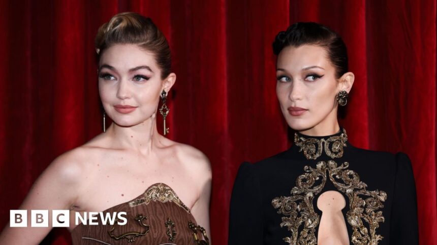 Bella and Gigi Hadid donate $1m to Palestinian aid agencies