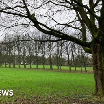 Mother admits killing five-month-old baby found in Leeds park